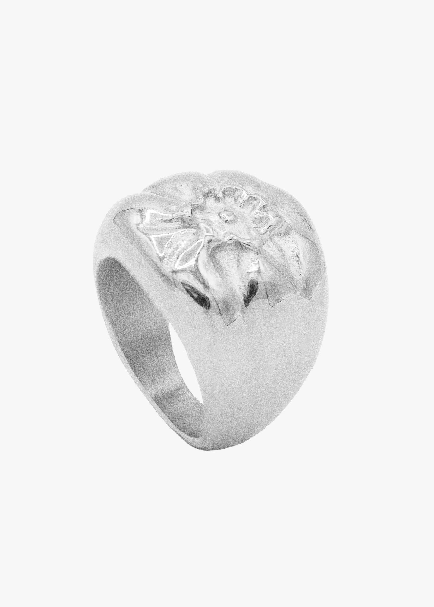 THE SILVER BLUEBERRY