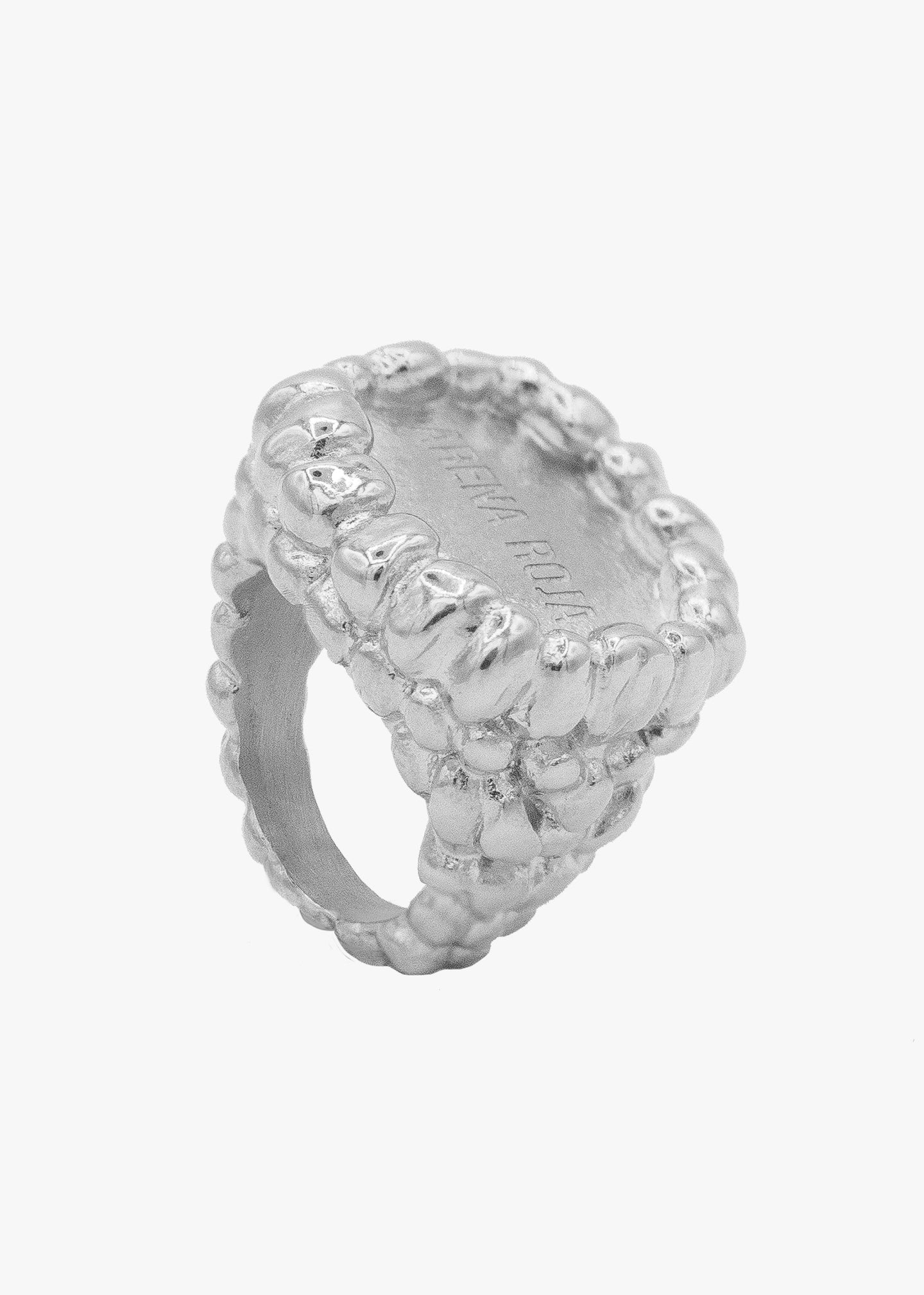 THE SILVER RASPBERRY