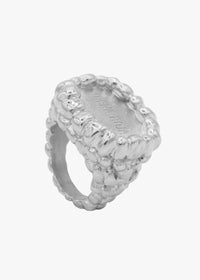 THE SILVER RASPBERRY