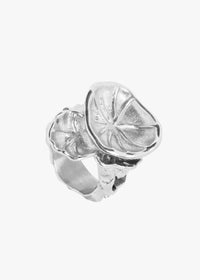 THE SILVER RING COAST