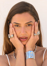 THE SILVER BLUEBERRY