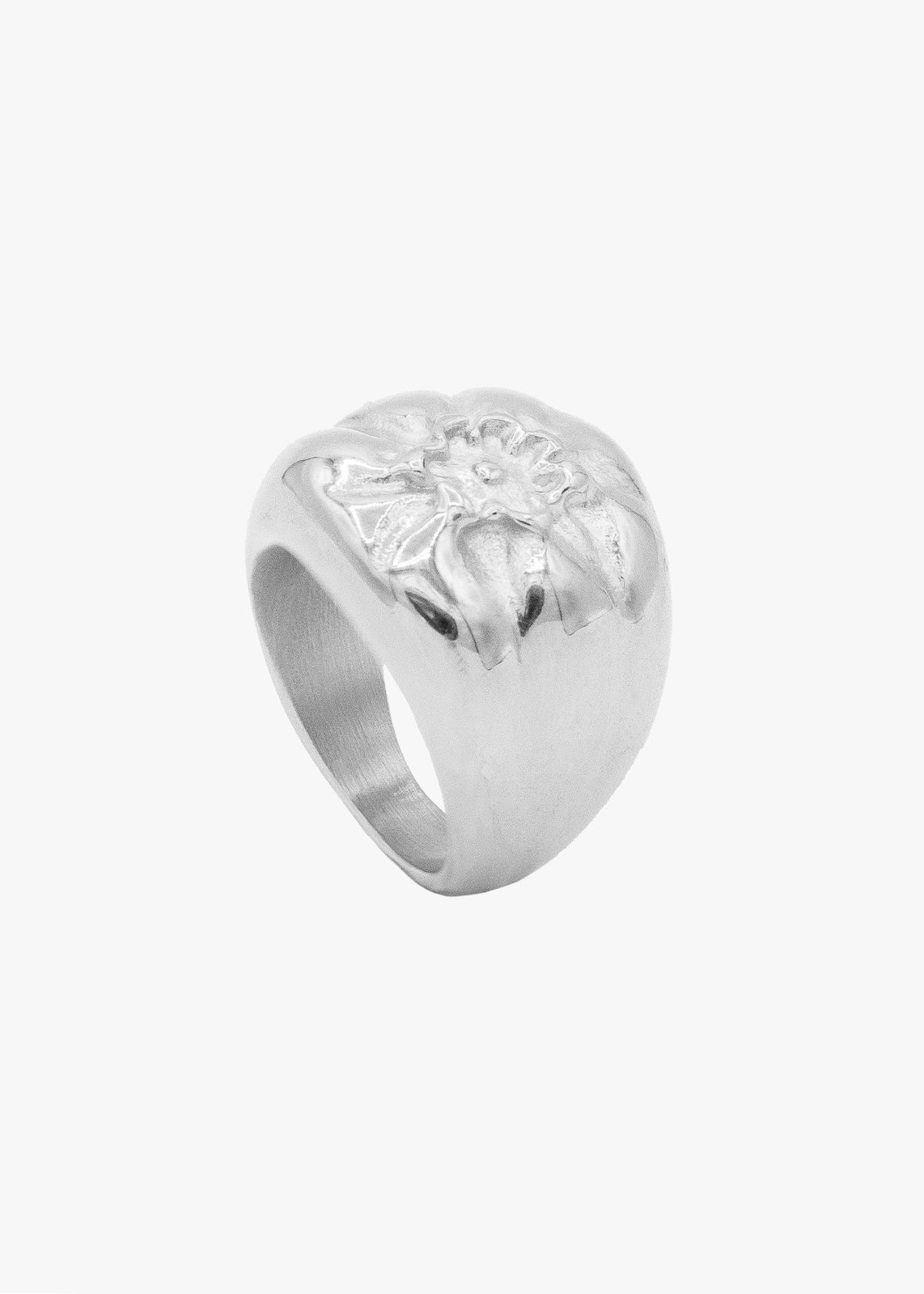 THE SILVER BLUEBERRY