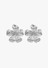 SILVER BLOUVE