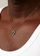 V / SILVER - THE IDENTITY