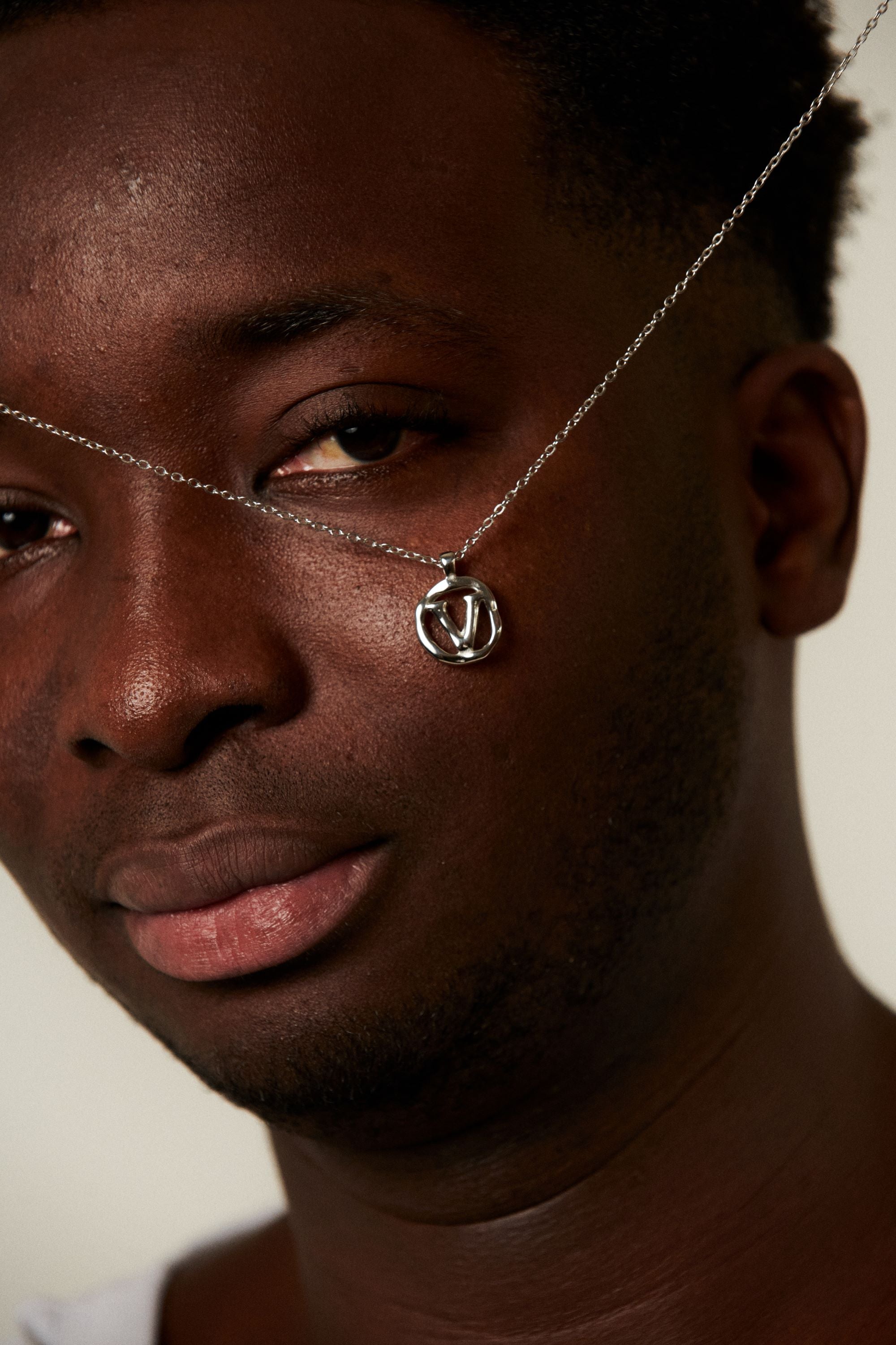 V / SILVER - THE IDENTITY