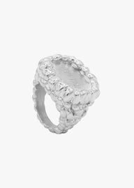 THE SILVER RASPBERRY