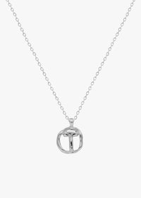 T / PLATA - THE IDENTITY